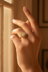 Infinity Petal