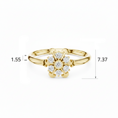 Architectural Spoked Star