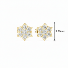 Stellar Prism Cluster