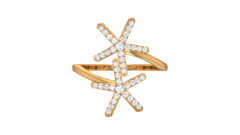 Dual Starfish